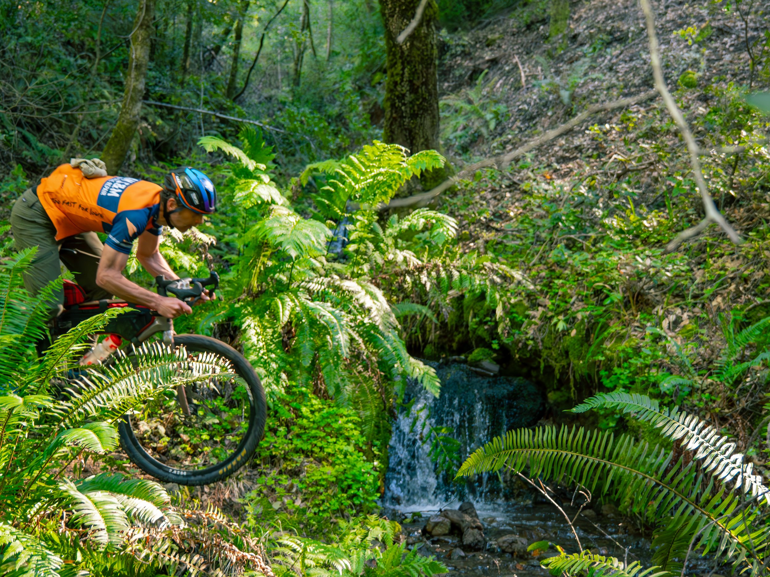 The Paradise Royale Mountain Bike Race — Mountain Bike Tribal